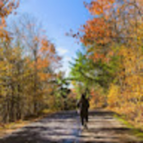 Meet your Posher, Nadine - Picture 1 of 1